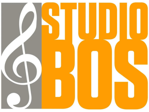 StudioBos logo