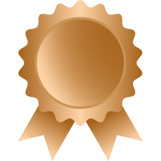 Bronze Sponsor