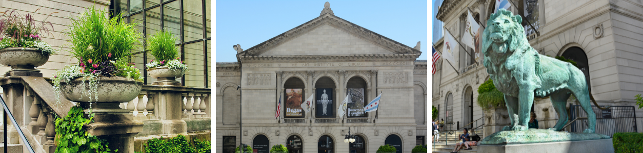 Three images of the Art Institute of Chicago. From left to right: side entrance with plants, front of museum, and lion sculpture