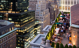 roosevelt-hotel-new-york-roof275w.jpg